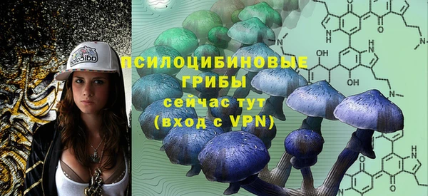 mdpv Богородицк