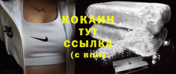 mdpv Богородицк